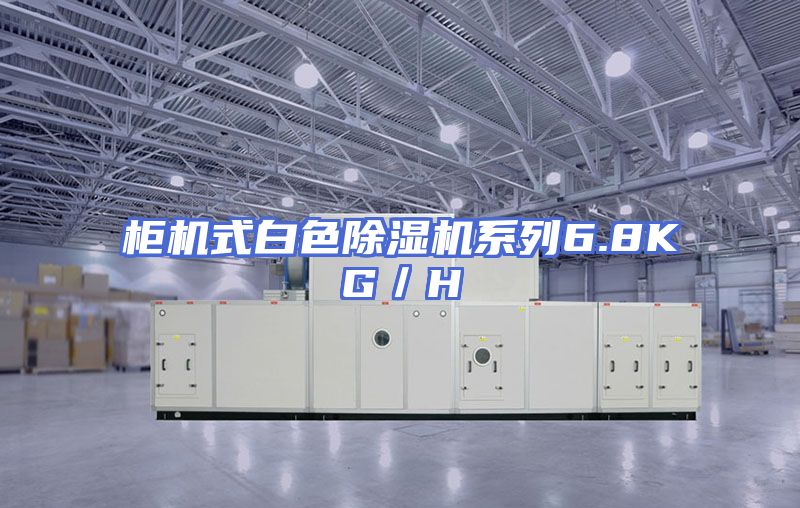 柜机式白色除湿机系列6.8KG／H