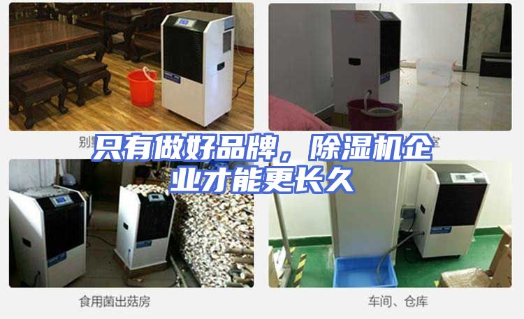 只有做好品牌，除湿机企业才能更长久