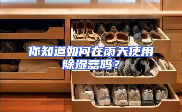你知道如何在雨天使用除湿器吗？