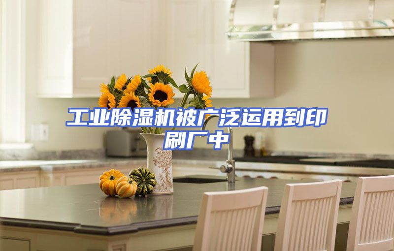工业除湿机被广泛运用到印刷厂中
