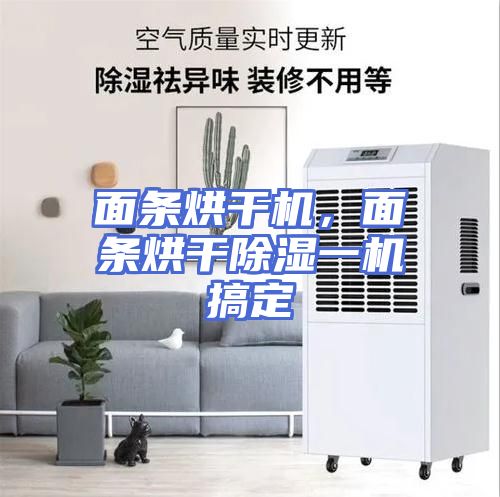 面条烘干机，面条烘干除湿一机搞定