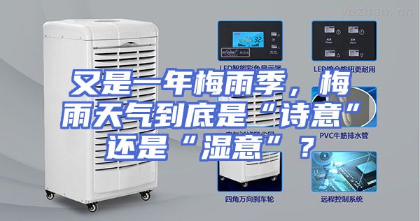 又是一年梅雨季,梅雨天气到底是“诗意”还是“湿意”?