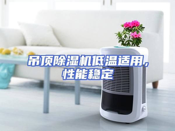 吊顶除湿机低温适用，性能稳定