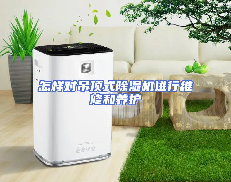 怎样对吊顶式除湿机进行维修和养护