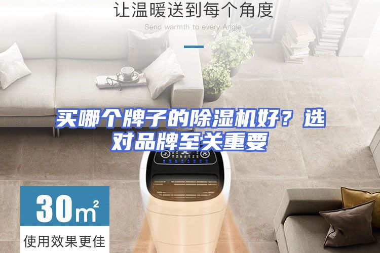 买哪个牌子的除湿机好？选对品牌至关重要