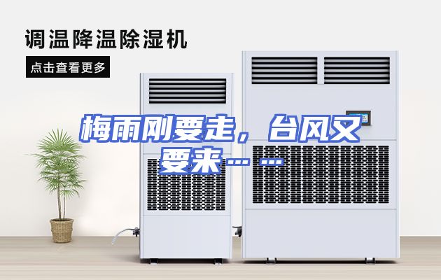 梅雨刚要走，台风又要来……