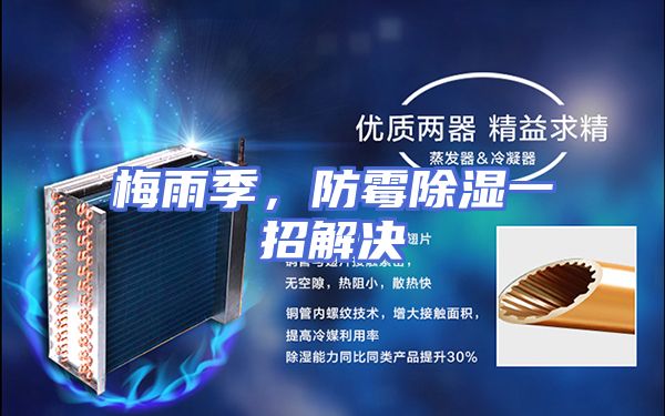 梅雨季，防霉除湿一招解决