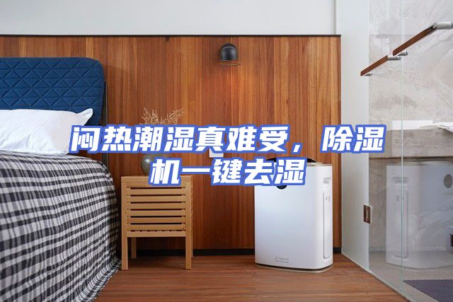 闷热潮湿真难受，除湿机一键去湿