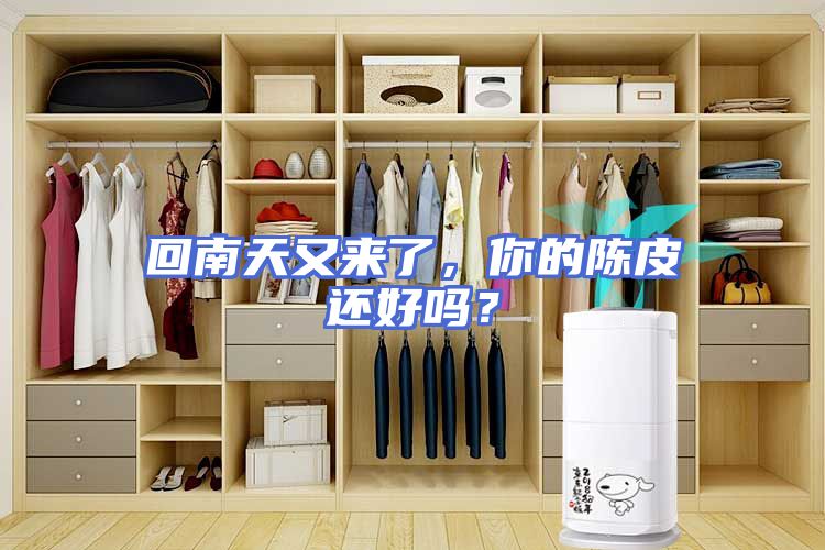 回南天又来了，你的陈皮还好吗？