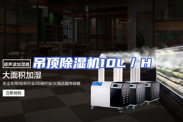 吊顶除湿机10L／H
