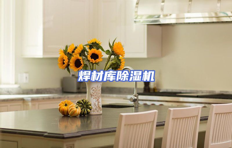 焊材库除湿机