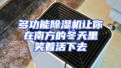 多功能除湿机让你在南方的冬天里笑着活下去