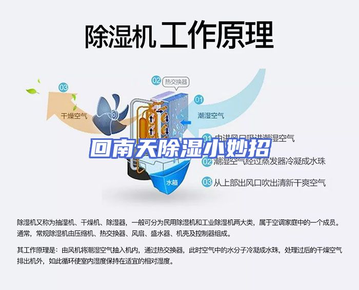 回南天除湿小妙招
