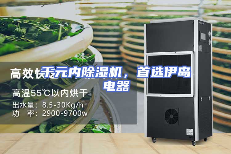 千元内除湿机，首选伊岛电器