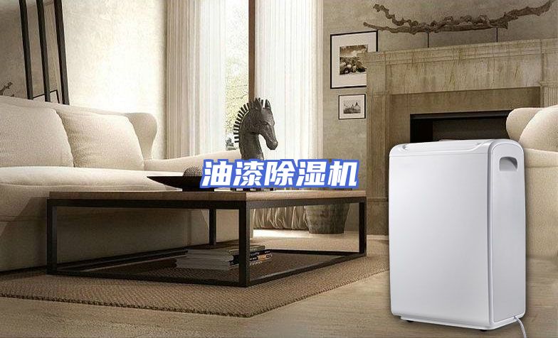 油漆除湿机
