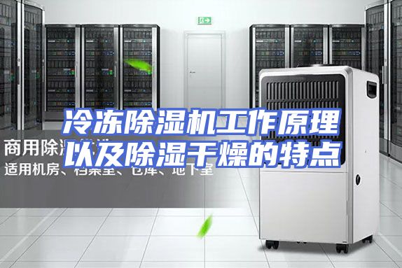 冷冻除湿机工作原理以及除湿干燥的特点