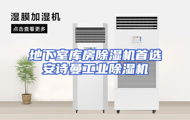 地下室库房除湿机首选安诗曼工业除湿机