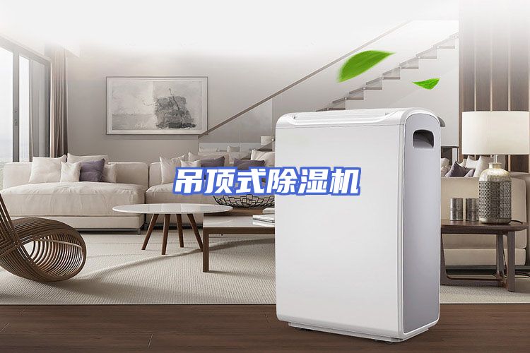 吊顶式除湿机