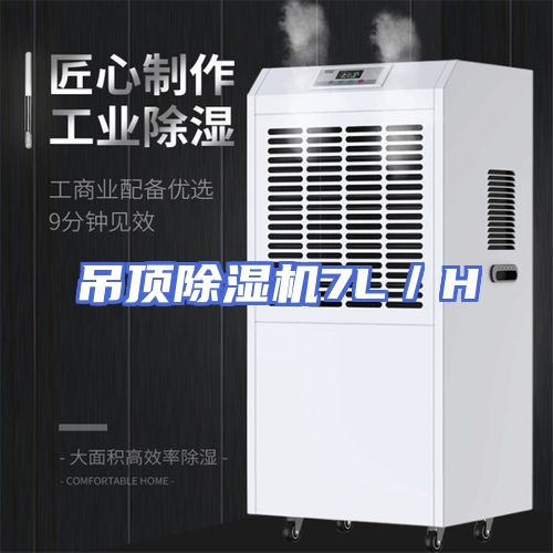 吊顶除湿机7L／H