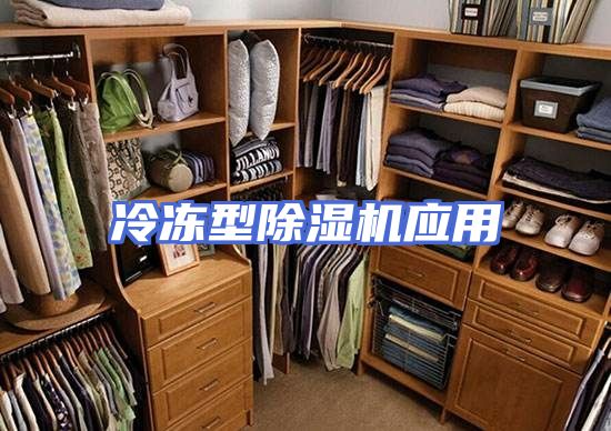 冷冻型除湿机应用