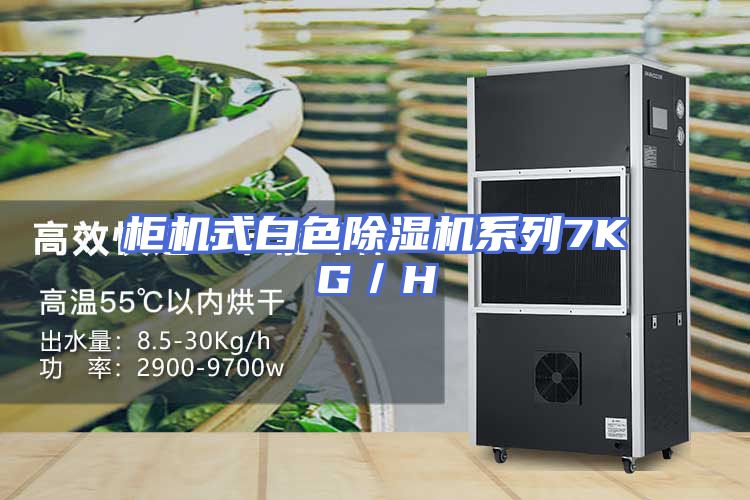 柜机式白色除湿机系列7KG／H
