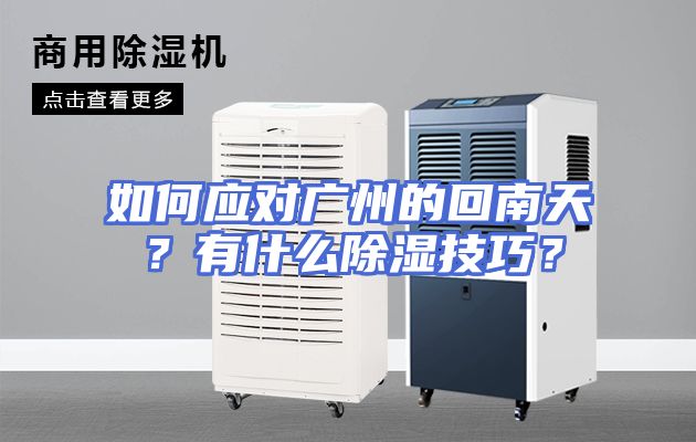 如何应对广州的回南天?有什么除湿技巧?
