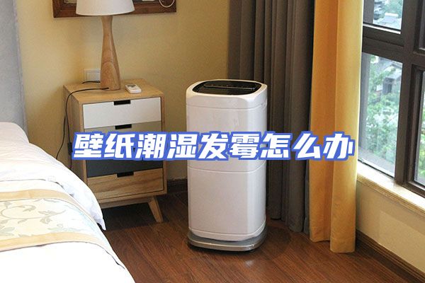 壁纸潮湿发霉怎么办