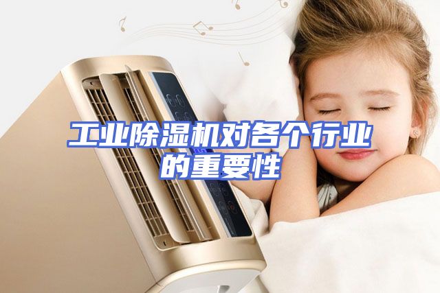 工业除湿机对各个行业的重要性