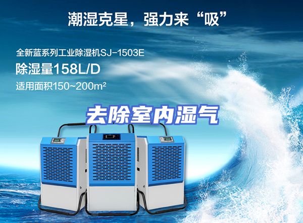 去除室内湿气