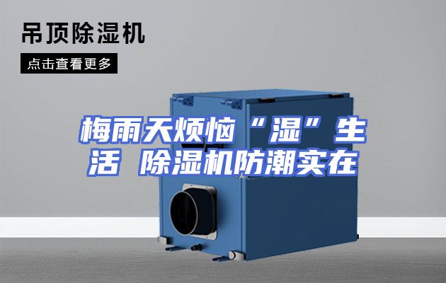 梅雨天烦恼“湿”生活 除湿机防潮实在