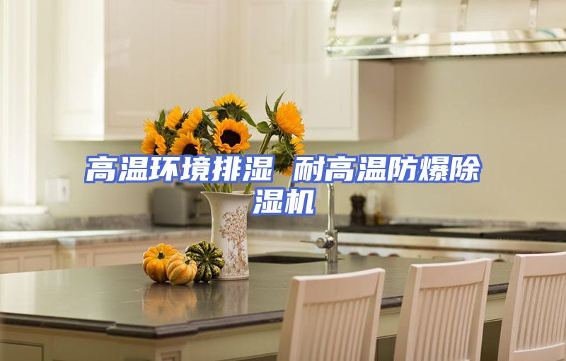 高温环境排湿 耐高温防爆除湿机