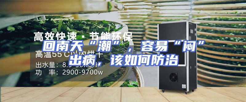 回南天“潮”，容易“闷”出病，该如何防治
