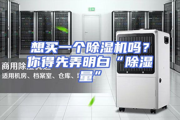 想买一个除湿机吗?你得先弄明白“除湿量”