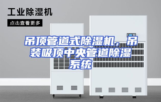 吊顶管道式除湿机，吊装吸顶中央管道除湿系统