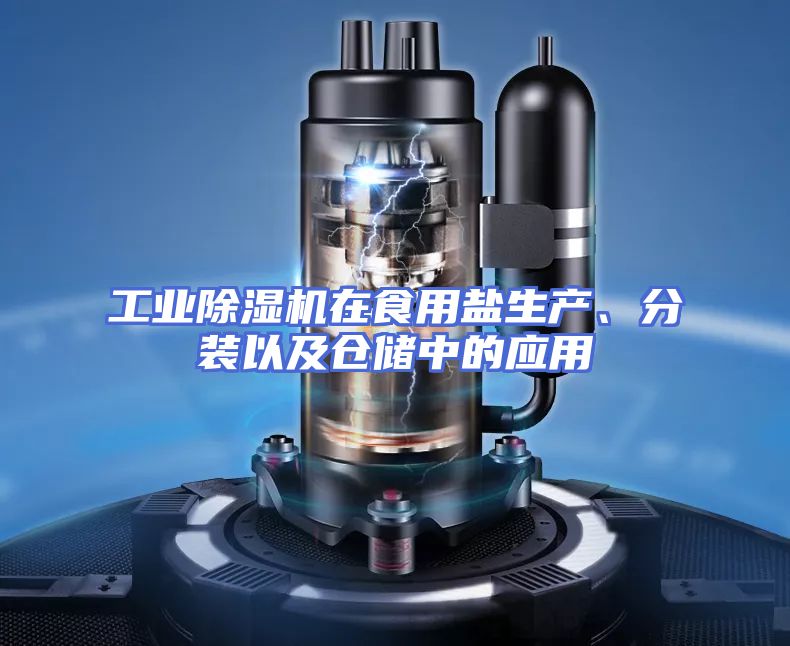 工业除湿机在食用盐生产、分装以及仓储中的应用
