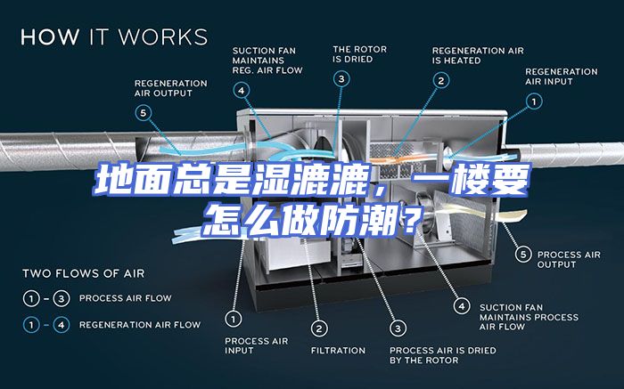 地面总是湿漉漉，一楼要怎么做防潮？