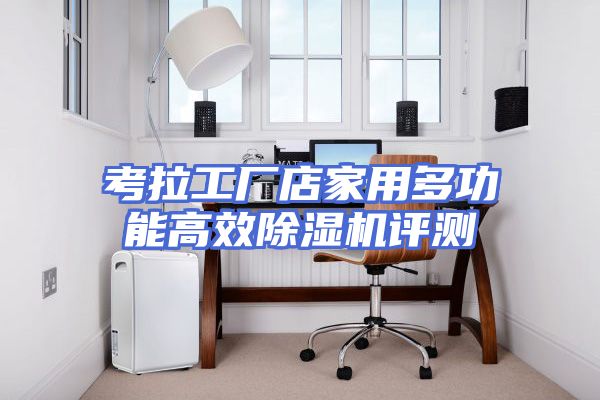 考拉工厂店家用多功能高效除湿机评测