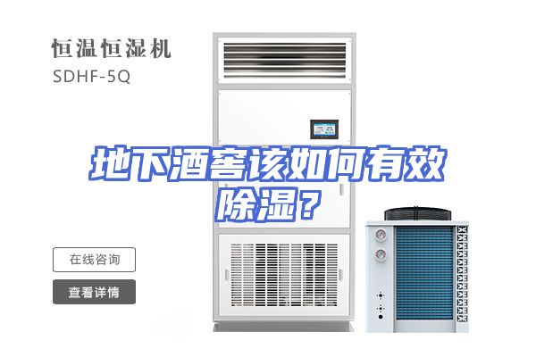 地下酒窖该如何有效除湿？