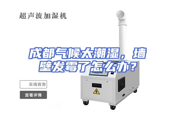 成都气候太潮湿，墙壁发霉了怎么办？