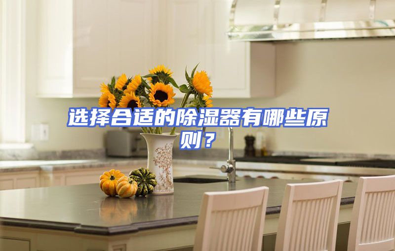 选择合适的除湿器有哪些原则？