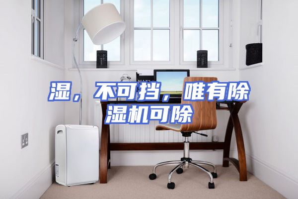 湿,不可挡,唯有除湿机可除