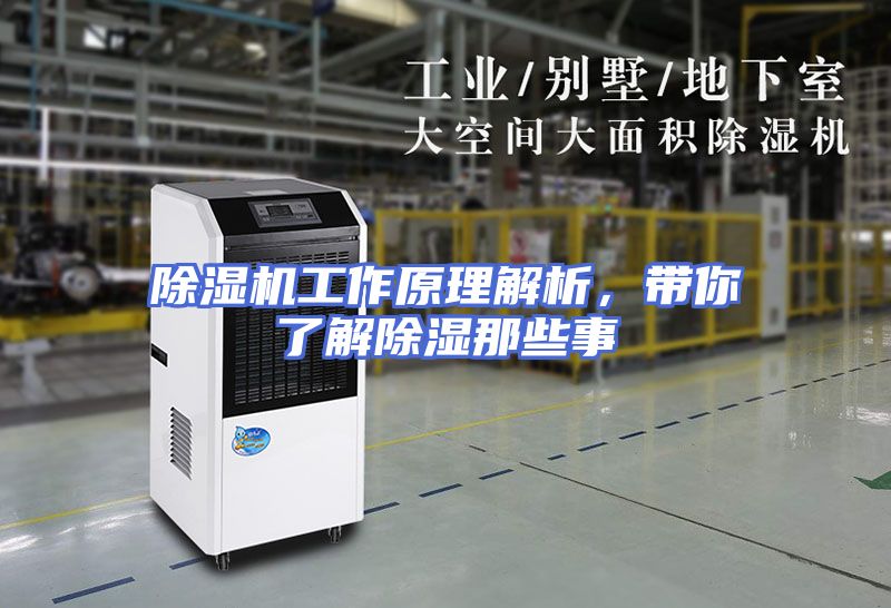 除湿机工作原理解析，带你了解除湿那些事