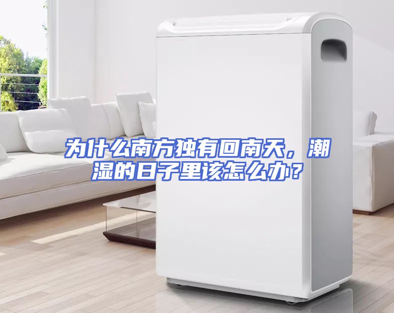 为什么南方独有回南天，潮湿的日子里该怎么办？