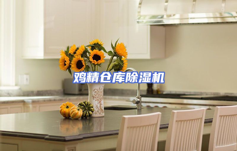 鸡精仓库除湿机
