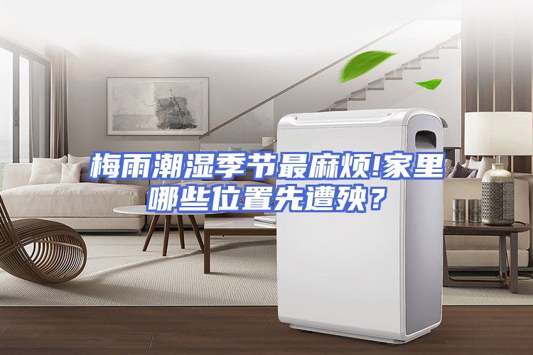 梅雨潮湿季节最麻烦!家里哪些位置先遭殃？