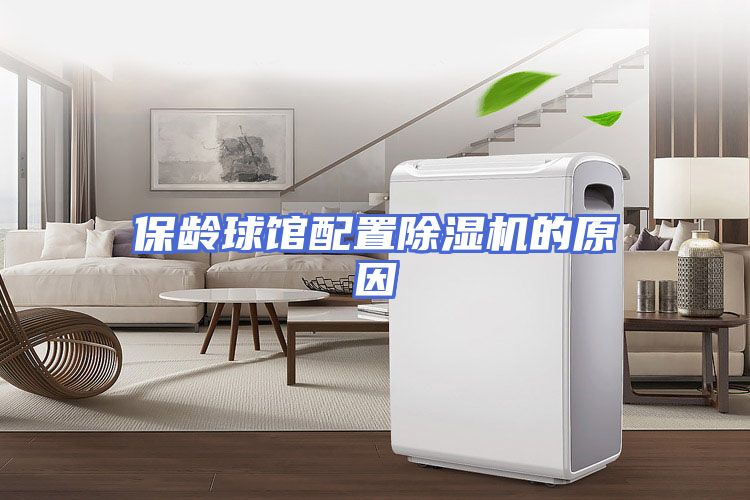 保龄球馆配置除湿机的原因
