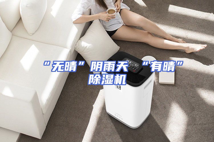 “无晴”阴雨天 “有晴”除湿机