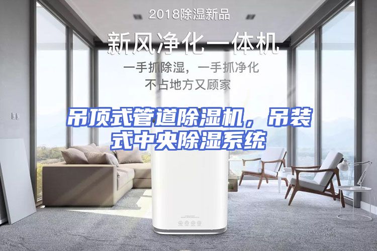 吊顶式管道除湿机，吊装式中央除湿系统