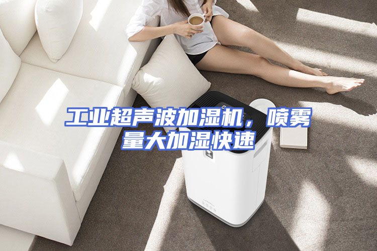 工业超声波加湿机，喷雾量大加湿快速