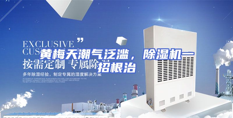 黄梅天潮气泛滥，除湿机一招根治